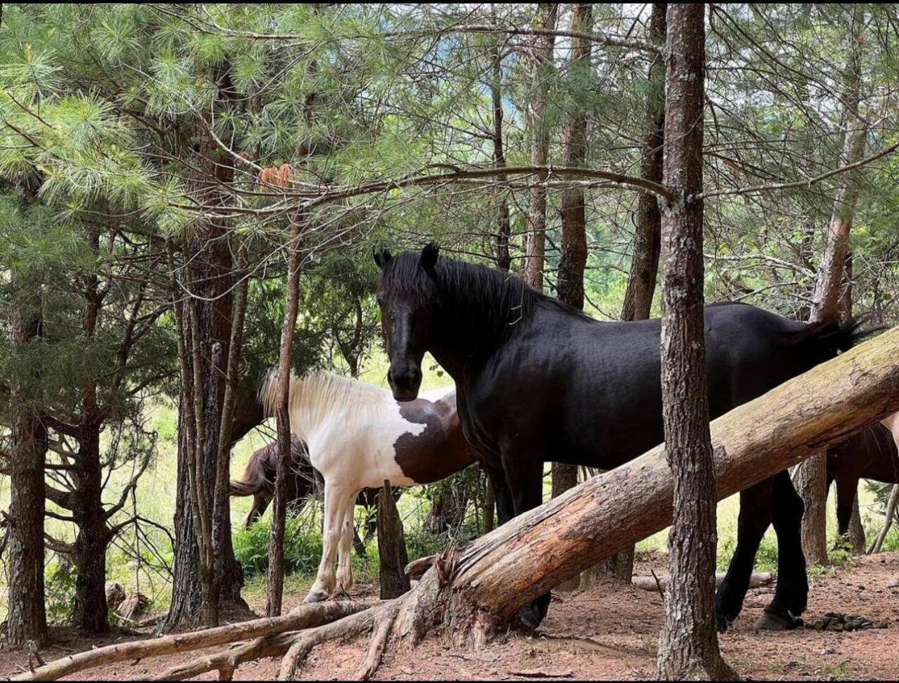 Almost Heaven #2 Pigeon Forge Luaran gambar